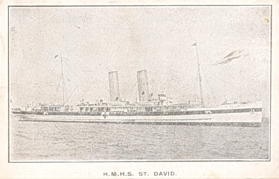 HMHS St David copy