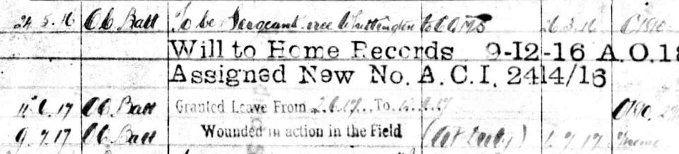 2014 Hallam 1917 wounding