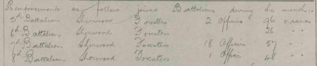 Reinforcements August 1916